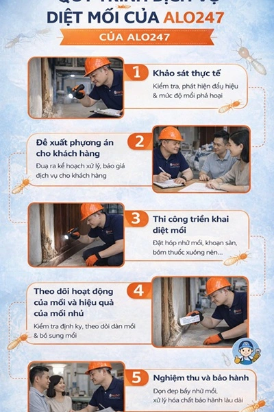 Quy trình diệt mối của Alo247