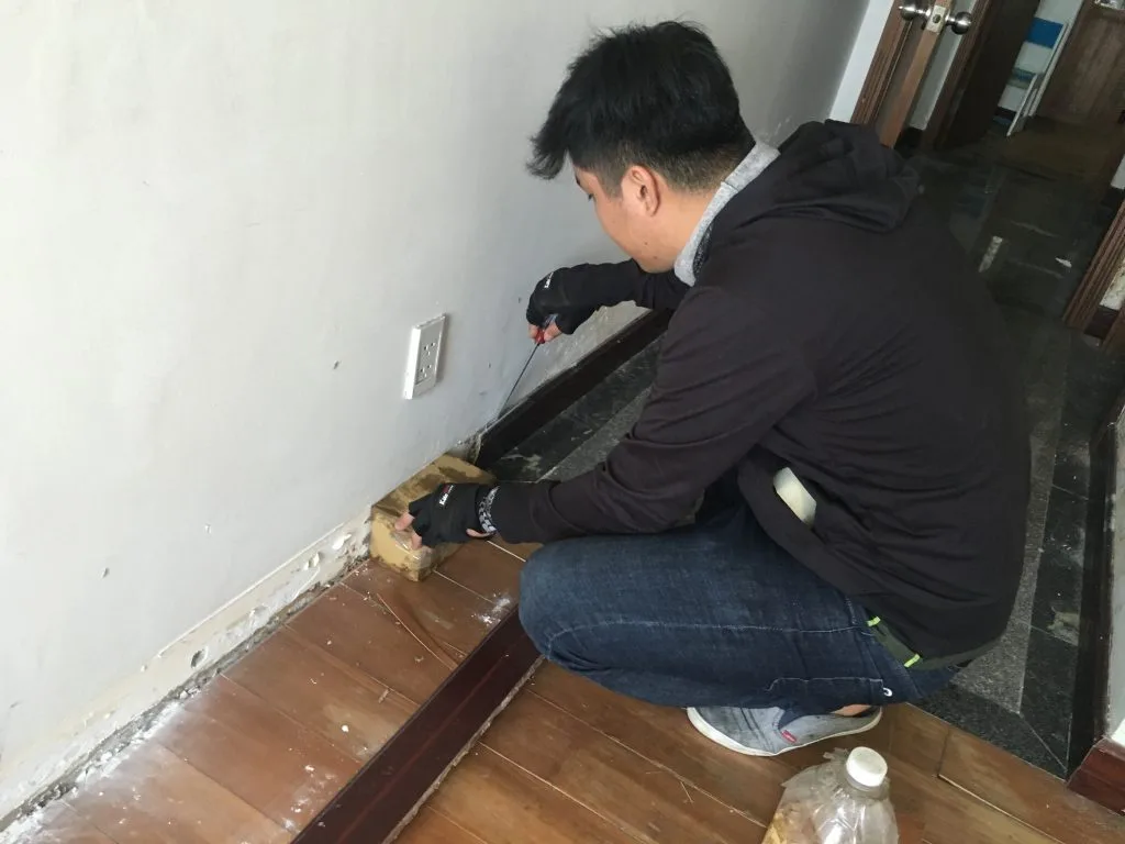 alo247 diệt mối cho khách tại hà nội