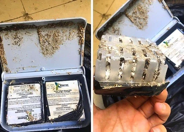 alo247 sử dụng trạm mồi xterm