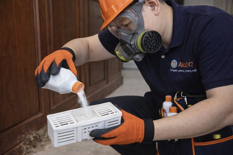 thợ alo247 rắc bả sinh học vào hộp nhử mối