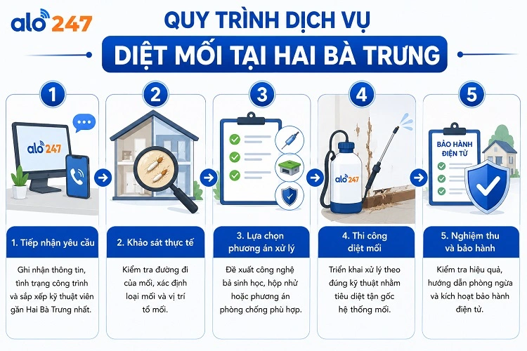 Quy trình dịch vụ diệt côn trùng của alo247