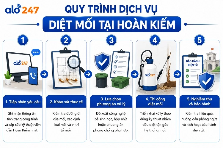 Quy trình dịch vụ xử lý côn trùng tại alo247