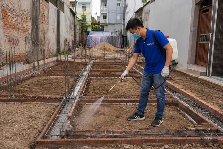 Thợ alo247 chống mối công trình tại Hai Bà Trưng