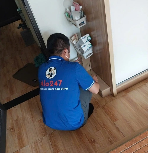 thợ alo247 đặt bẫy diệt mối tại hà nội