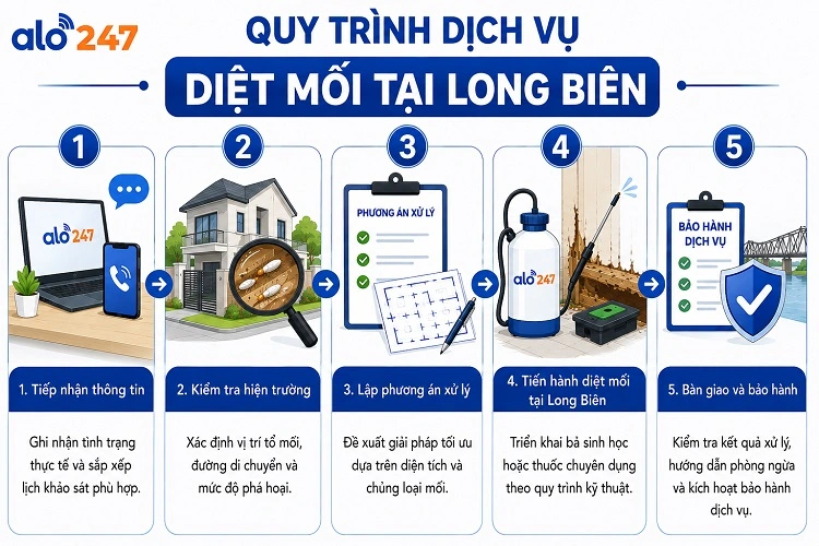 5 bước dịch vụ kiểm soát côn trùng an toàn tại Alo247
