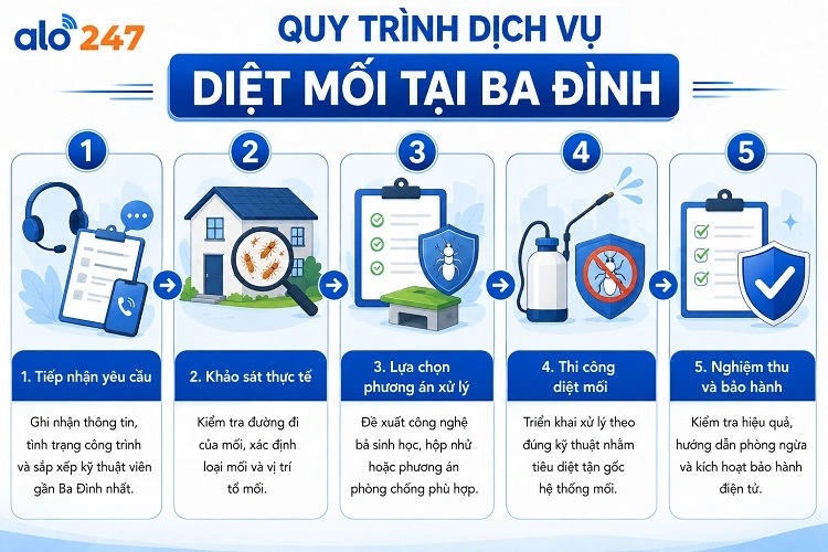 5 bước quy trình dịch vụ xử lý côn trùng của alo247