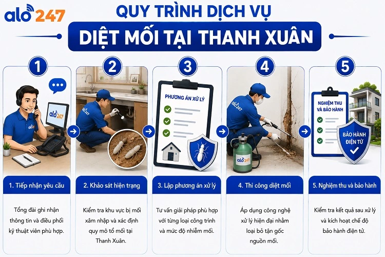 5 bước quy trình dịch vụ xử lý côn trùng tại alo247