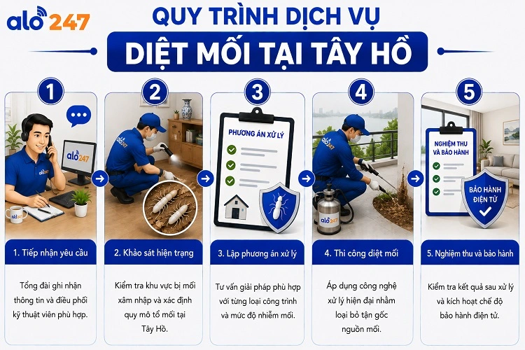 5 bước trong quy trình dịch vụ xử lý côn trùng tại alo247