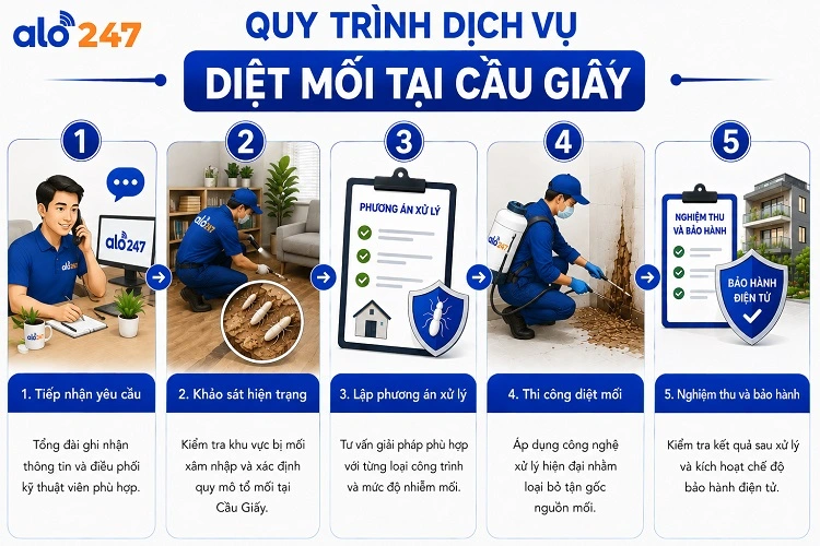 Alo247 5 bước trong quy trình dịch vụ xử lý côn trùng