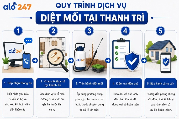 Alo247 Quy trình 5 bước kiểm soát côn trùng tận gốc