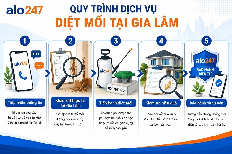 Alo247 Quy trình dịch vụ diệt mối tận gốc tại Gia Lâm