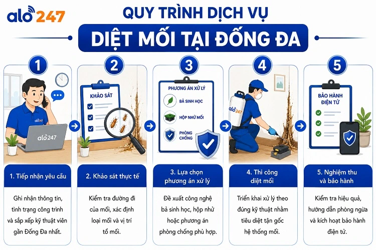 Alo247 Quy trình dịch vụ xử lý côn trùng