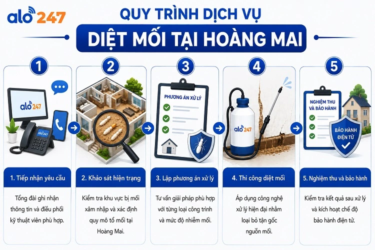 Alo247 quy trình 5 bước dịch vụ xử lý côn trùng