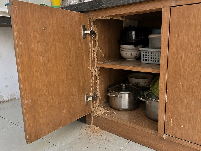 Dấu hiệu mối ăn rỗng bên trong tủ bếp gỗ