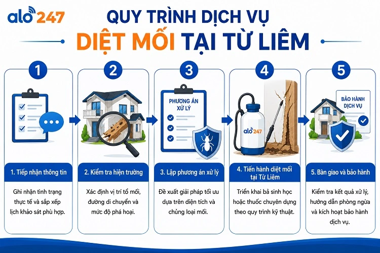 Quy trình 5 bước xử lý côn trùng theo tiêu chuẩn Alo247