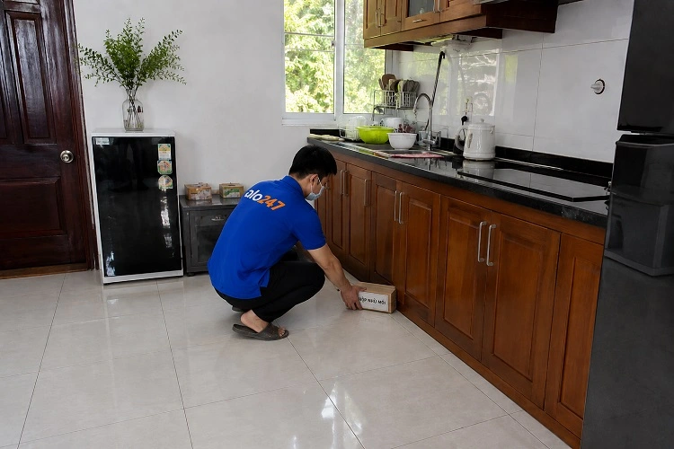 Thợ alo247 diệt mối bằng việc đặt hộp nhử mối tại Từ Liêm