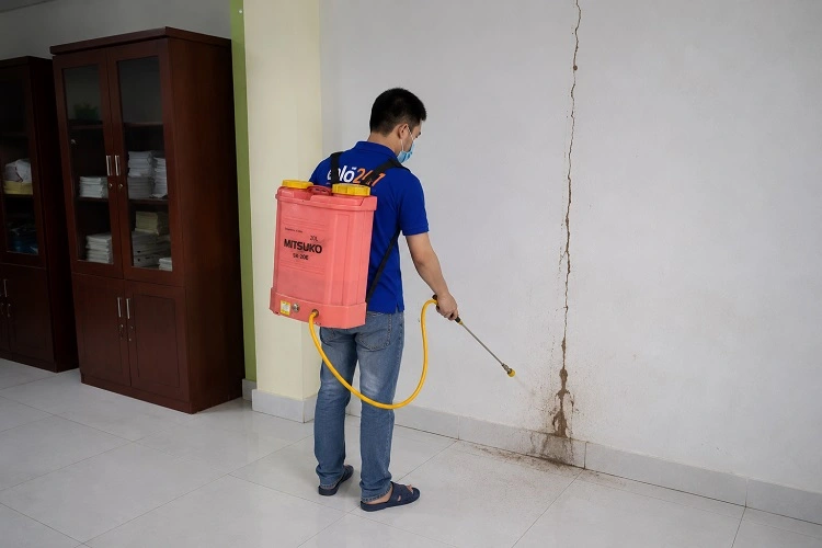 Thợ alo247 phun thuốc diệt mối sinh học tại Cầu Giấy