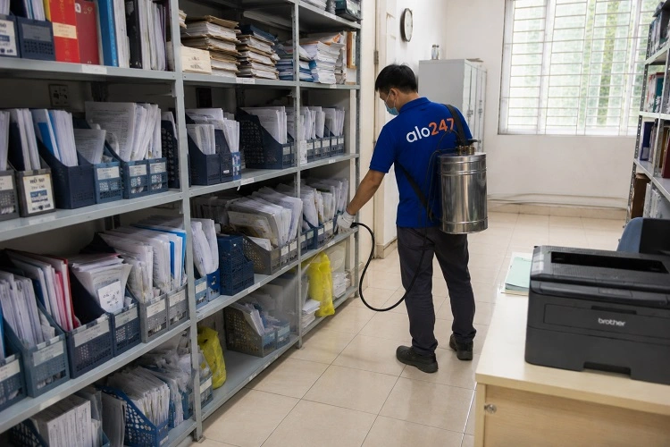 Thợ alo247 phun thuốc diệt mối sinh học tại Gia Lâm