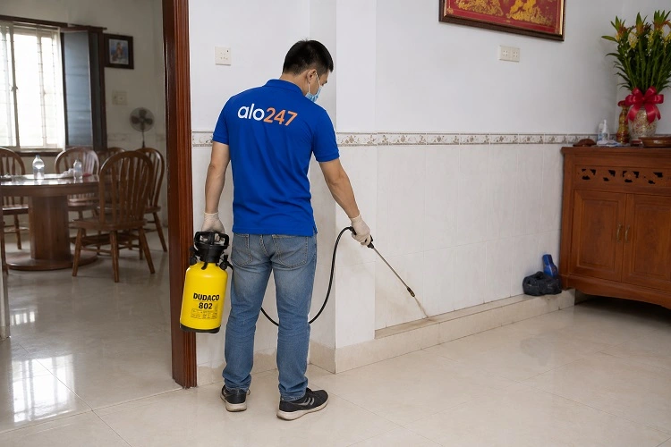Thợ alo247 phun thuốc diệt mối sinh học tại Thanh Xuân