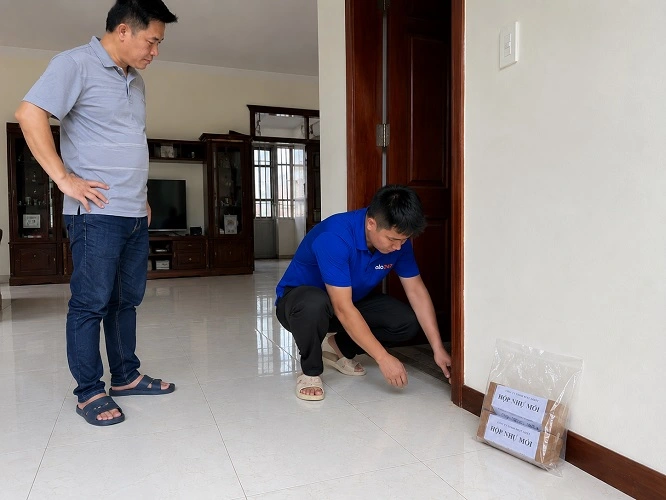 Thợ alo247 thực hiện diệt mối tận gốc tại Gia Lâm