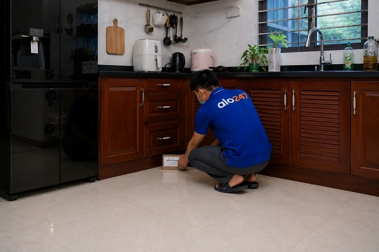 alo247 Dịch vụ diệt mối tận gốc tại Thanh Trì