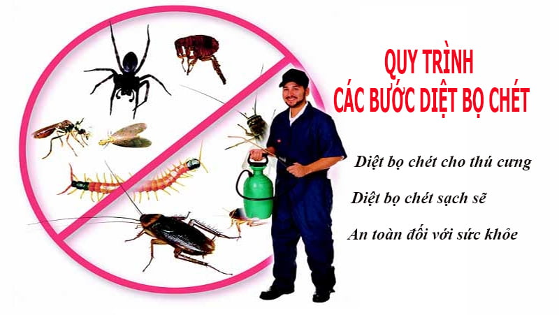 Dịch vụ diệt bọ chét uy tín tại Hà Nội