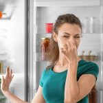Cách xử lí khi tủ lạnh có mùi hôi    