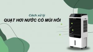 Cách xử lý quạt hơi nước bị hôi