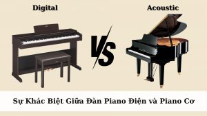 Piano cơ và piano điện khác nhau như thế nào