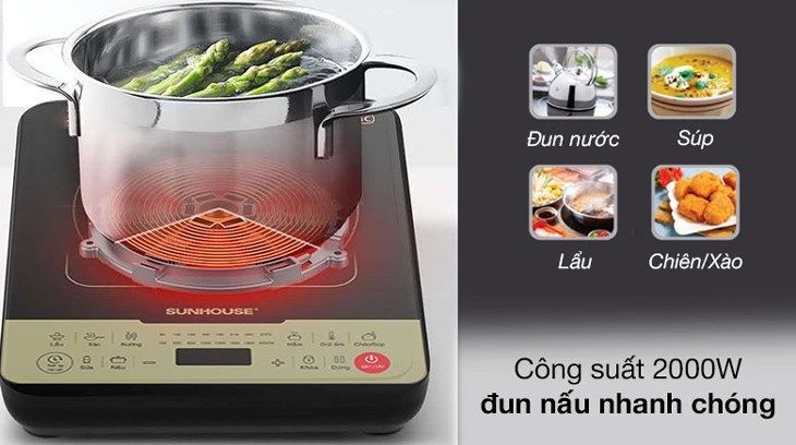 Tổng quan về bếp từ