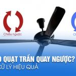 Vì sao quạt trần quay ngược chiều và cách xử lí