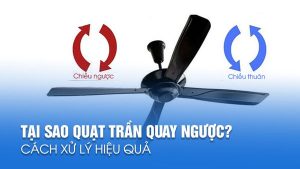 Vì sao quạt trần quay ngược chiều và cách xử lí