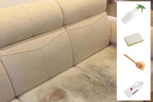 Cách xử lý ghế sofa bị mốc