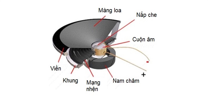 Công dụng của màng loa