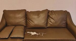 Giải pháp cho ghế sofa da bị nổ nứt