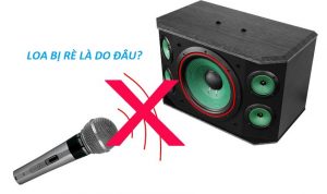 Loa bị rè là do đâu