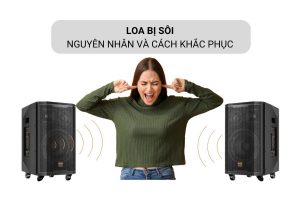 Nguyên nhân loa bị sôi