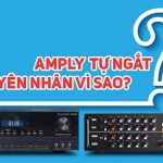 Nguyên nhân nào khiến amply tự ngắt