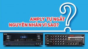 Nguyên nhân nào khiến amply tự ngắt