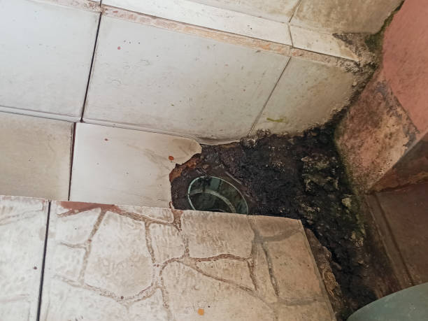 thông tắc cống thoát nước