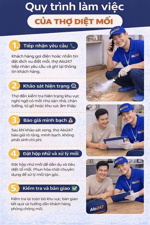 Quy trình làm việc của thợ diệt mối Alo247