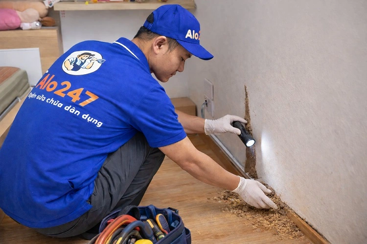Thợ diệt mối alo247 khảo sát hiện trạng khu vực bị mối