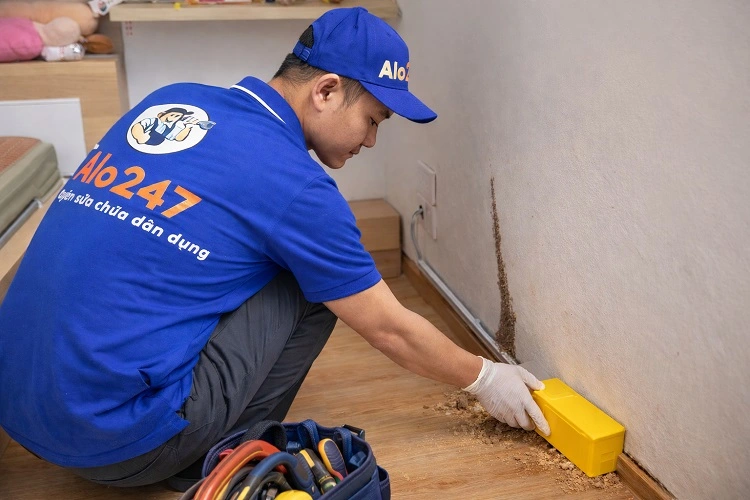 Thợ diệt mối tại nhà alo247 đặt hộp nhử mối