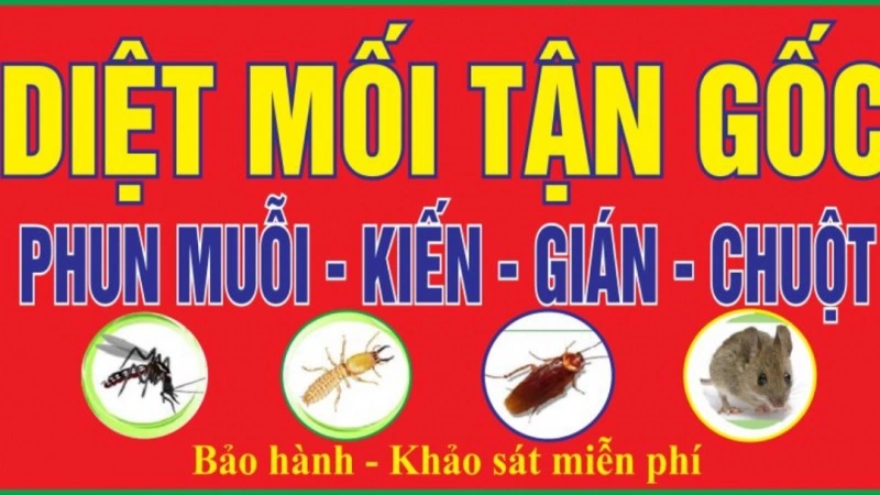 dịch vụ diệt côn trùng alo247