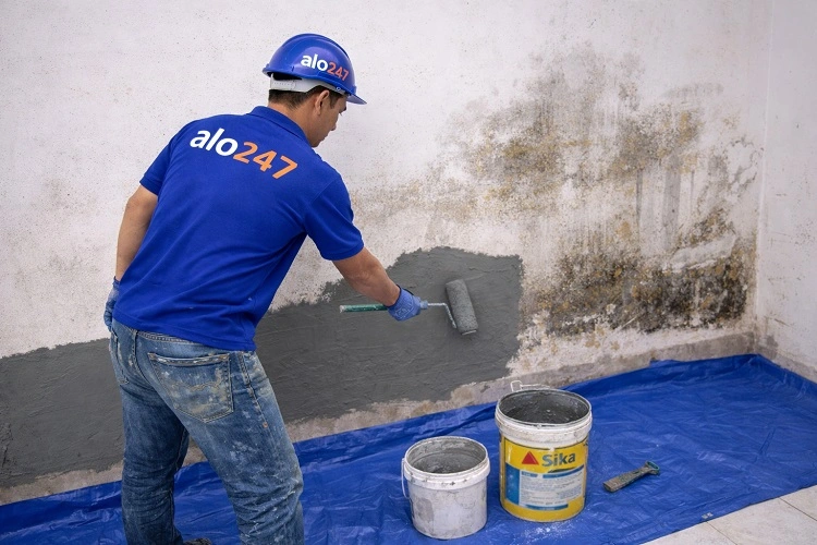 Thợ Alo247 lăn sơn Sika xử lý mảng tường bị ẩm mốc và hư hại