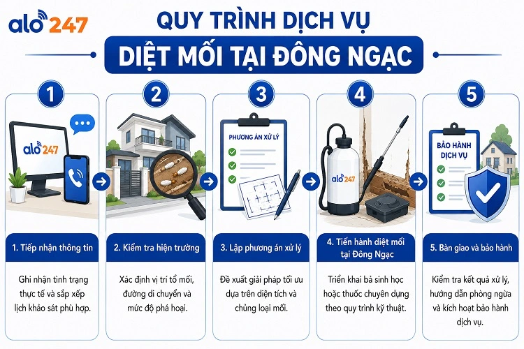 5 bước dịch vụ xử lý côn trùng chuyên nghiệp của Alo247