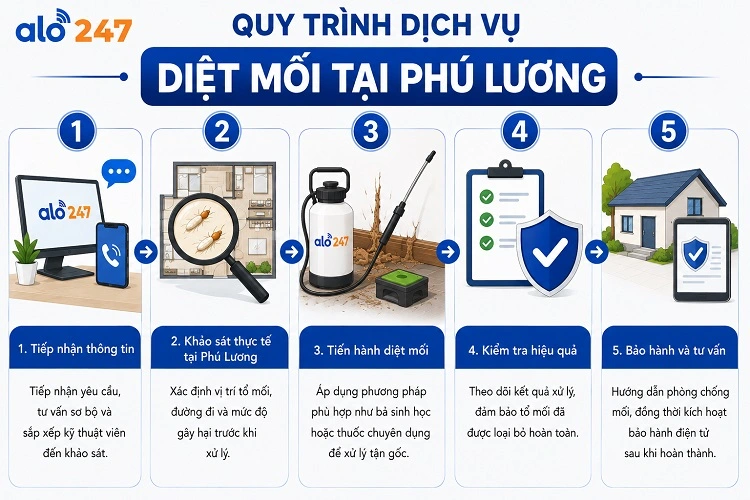 5 bước dịch vụ xử lý côn trùng tại Alo247
