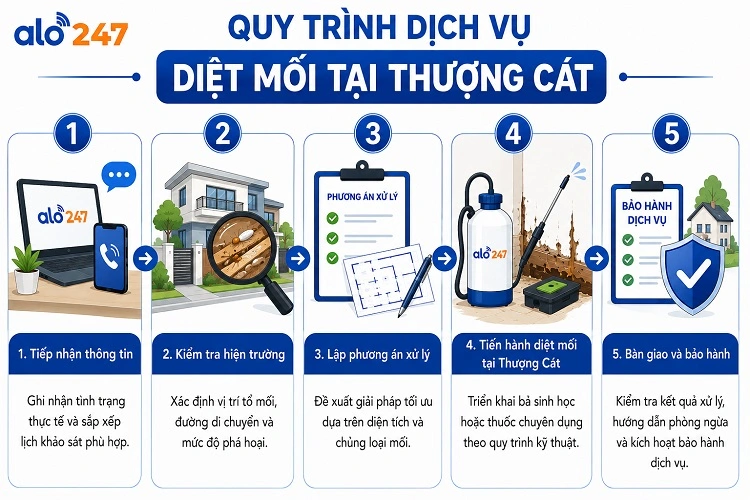 5 bước dịch vụ xử lý côn trùng tiêu chuẩn Alo247