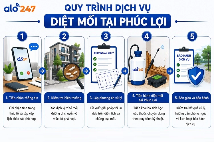 5 bước diệt côn trùng tận gốc cùng Alo247