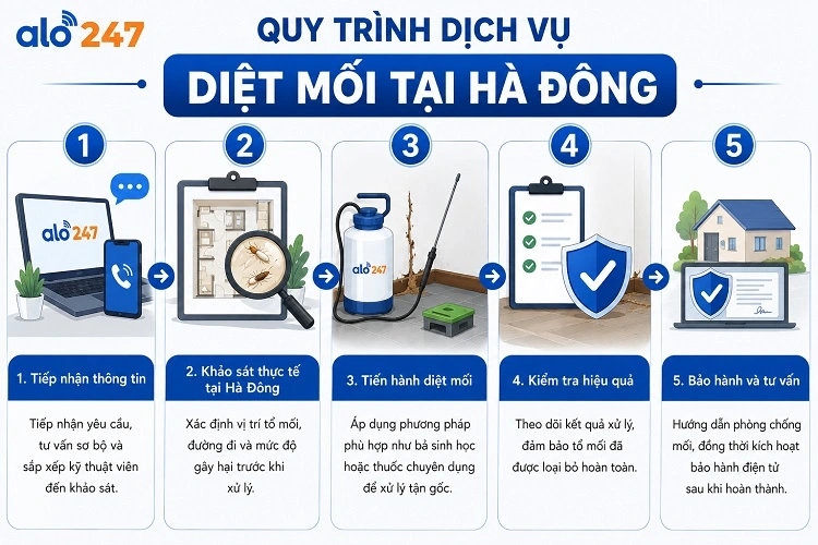 5 bước kiểm soát côn trùng của Alo247